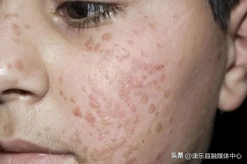 娱乐生活 第80页
