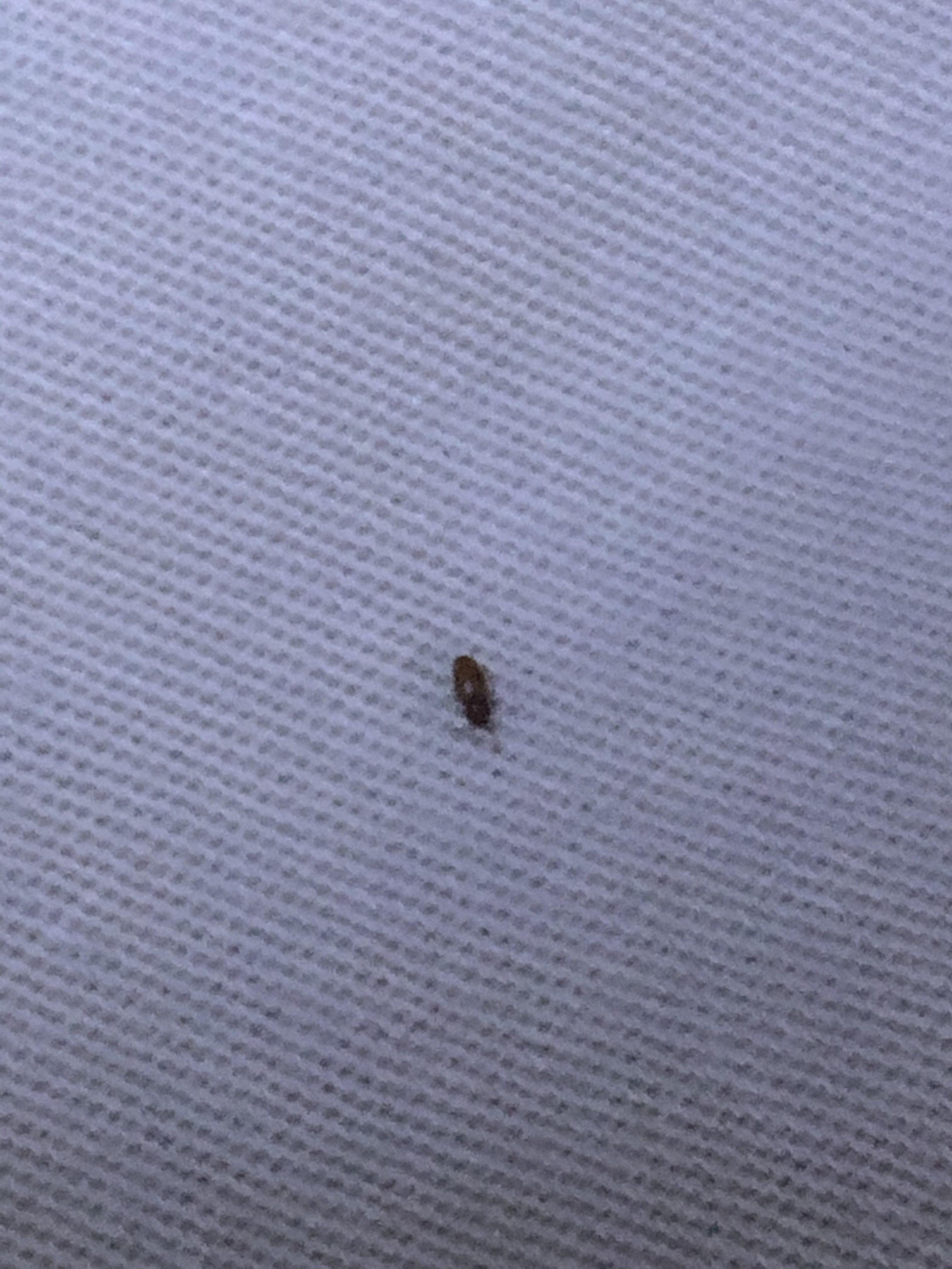 娱乐生活 第69页